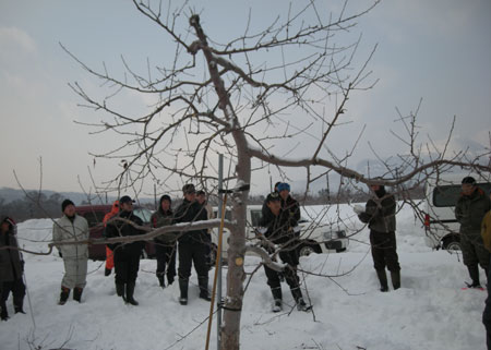 20090121sentei2
