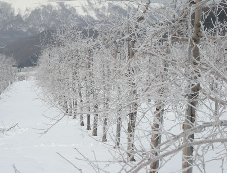 20090210a1
