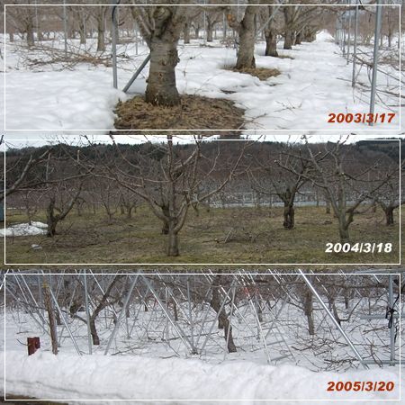 2003-5snow