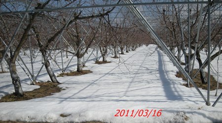 20110316 (7)